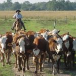 Tras la postergación del tratamiento de la reforma laboral, en el Gobierno se mueven para flexibilizar la legislación del trabajo rural