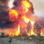 Emergencia en la Patagonia: más de 15.000 hectáreas afectadas y alerta roja en cuatro provincias