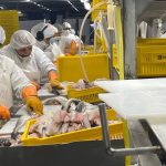 El Sindicato de la Alimentación denuncia contrataciones «precarias e irregulares» en la empresa chubutense de pesca Red Chamber