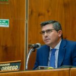 Orrego busca derogar el SIPAD y que sólo se vote una vez