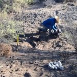 Entomología forense: la UNSJ al servicio de la investigación judicial de San Juan
